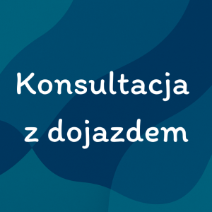 Konsultacja z dojazdem